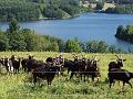 la ferme de cabrials (10)